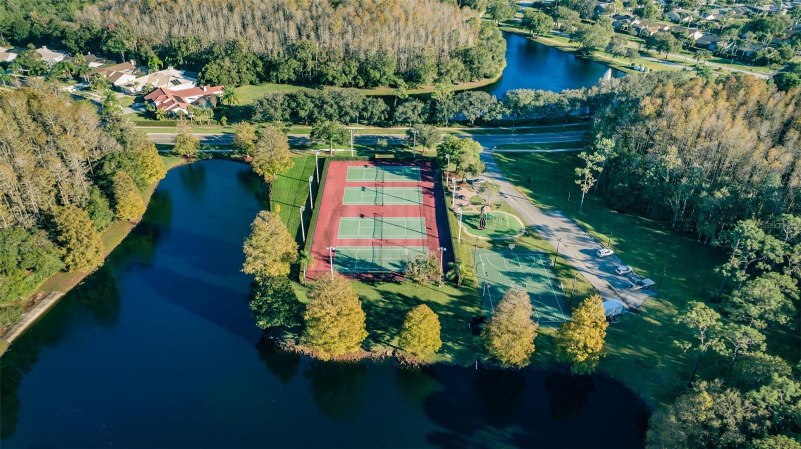 Aerial Ridgemoor Central Park