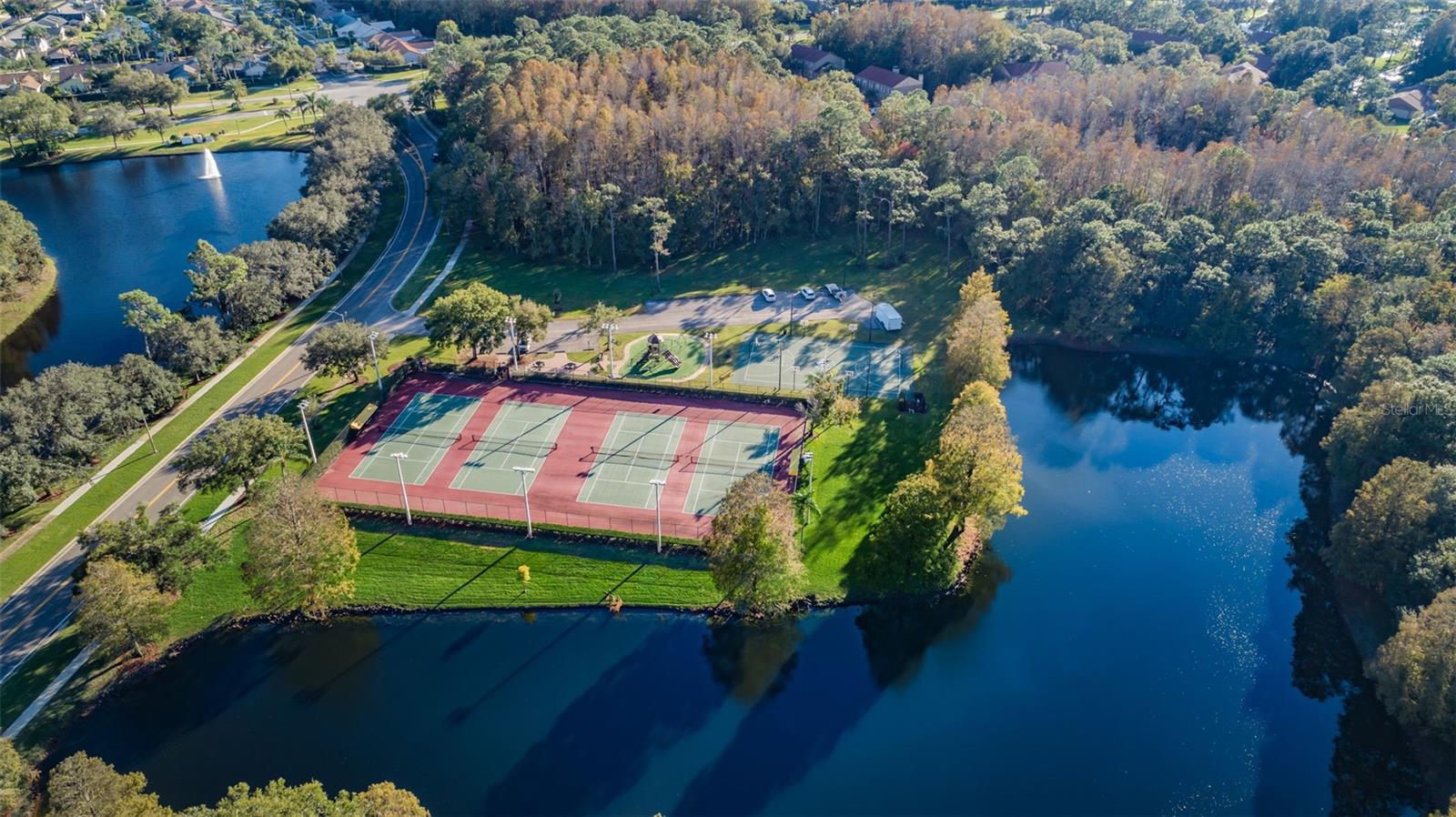 Aerial Ridgemoor Central Park