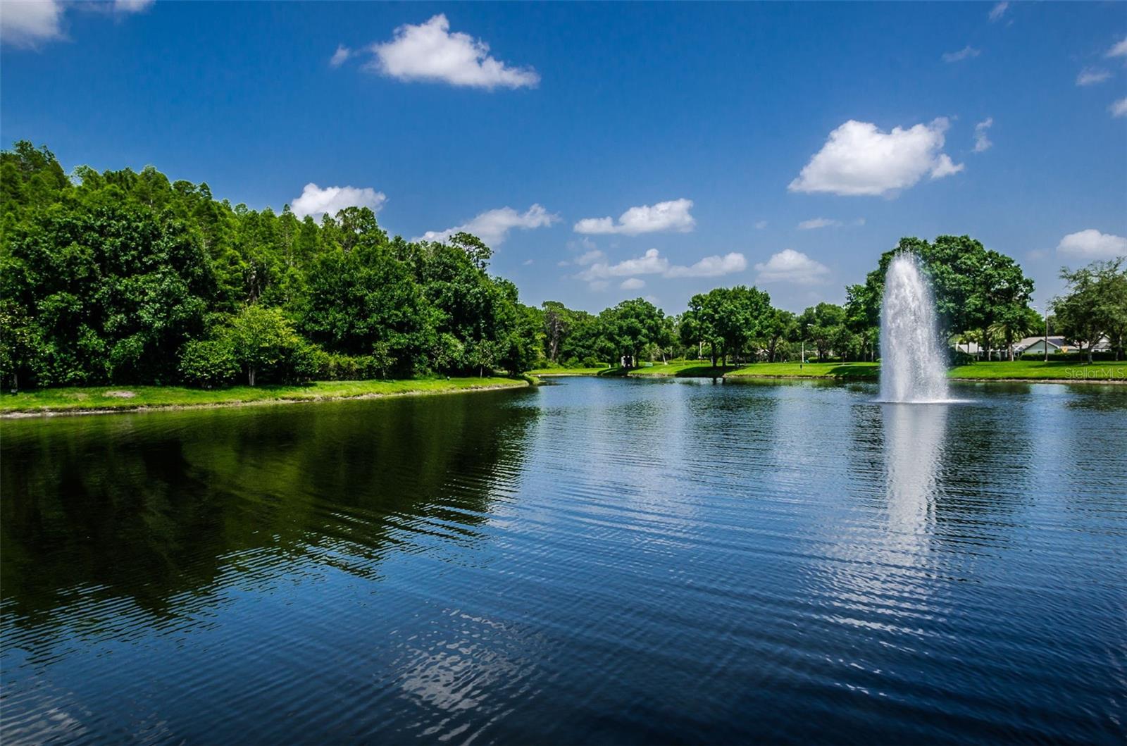 Ridgemoor Central Park