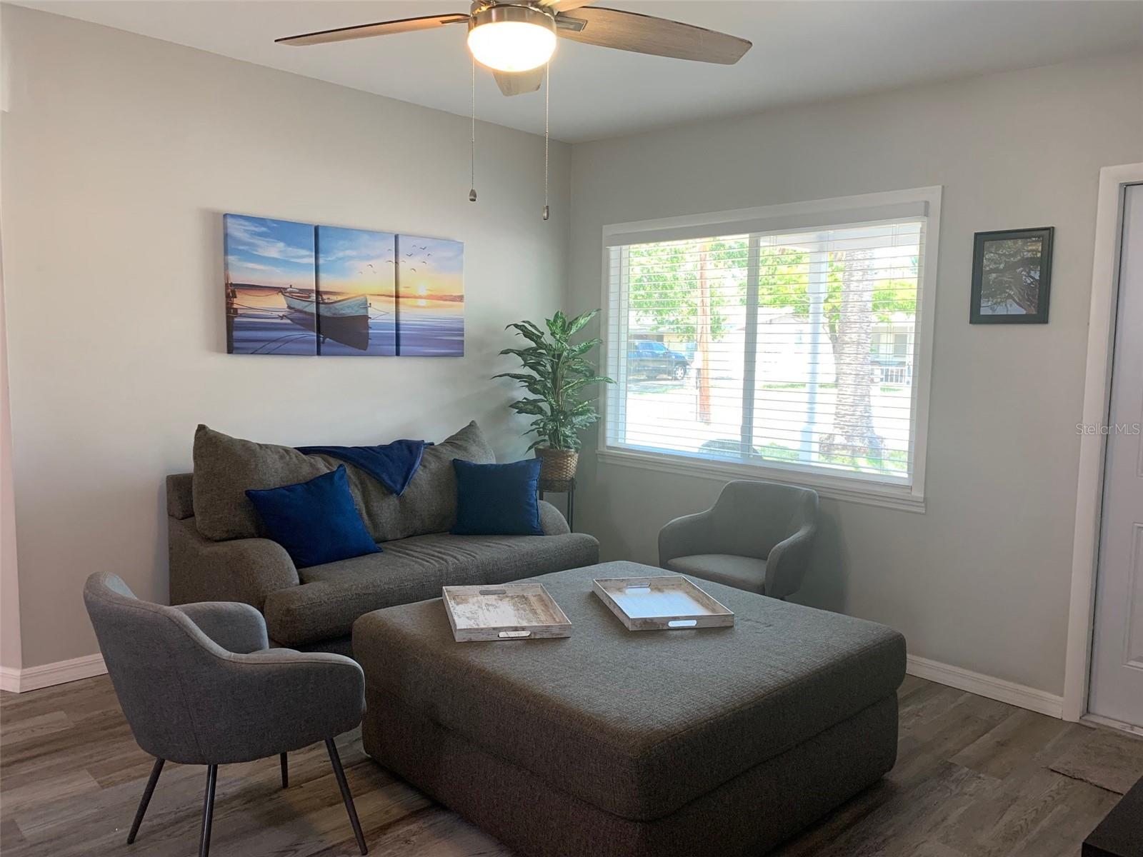 Living room bright windows