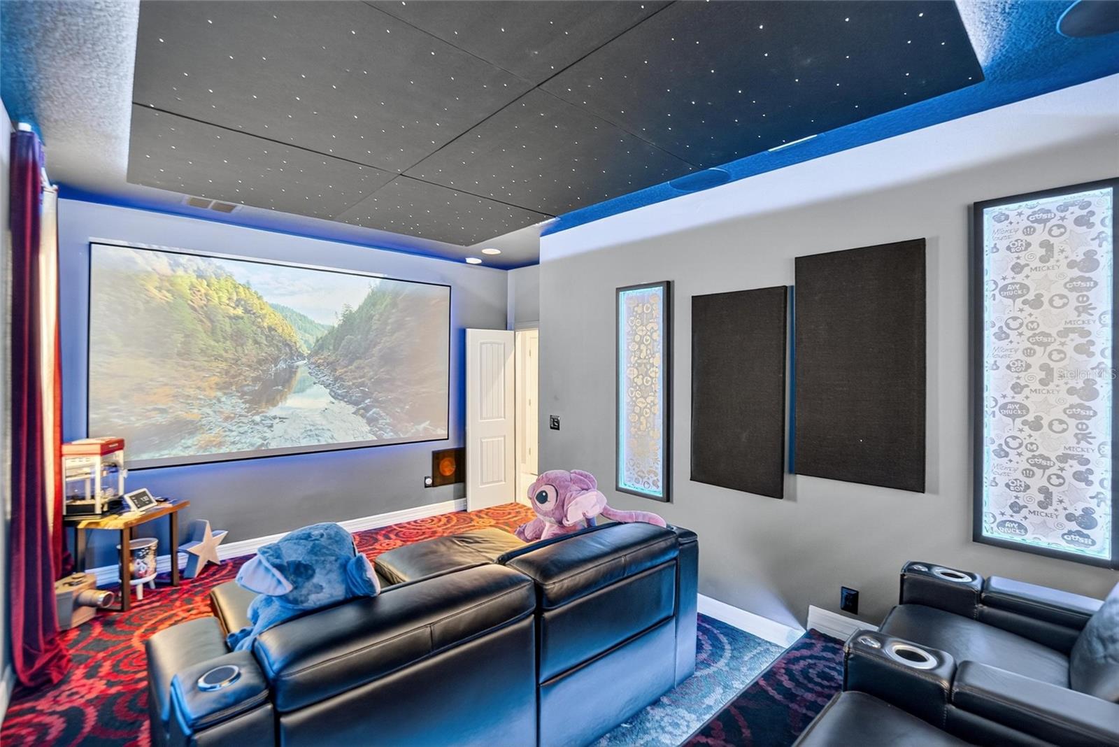Media Room 2