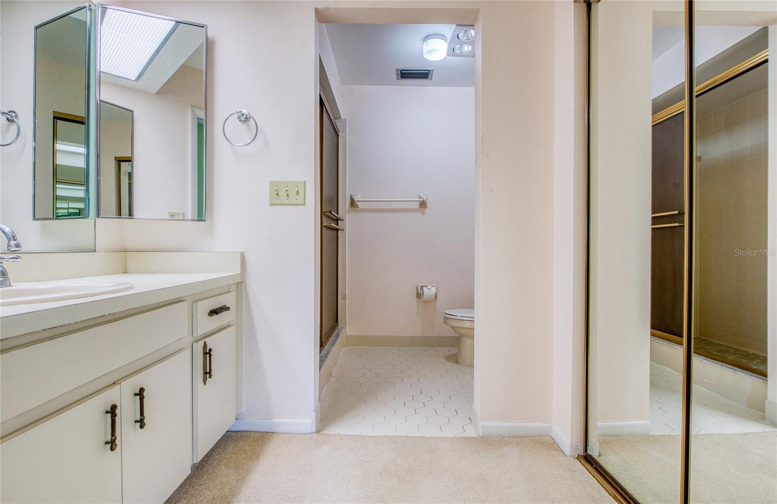 MASTER BATH WITH LARGE COUNTERTOP AND SINK