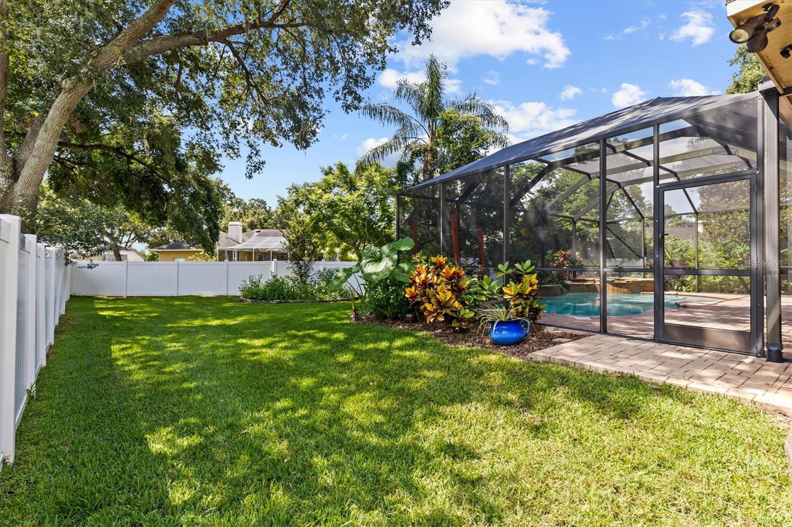 BACK YARD