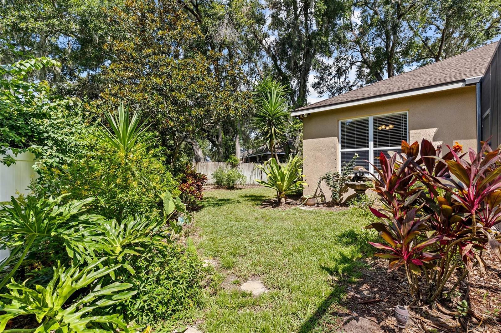 BACK YARD