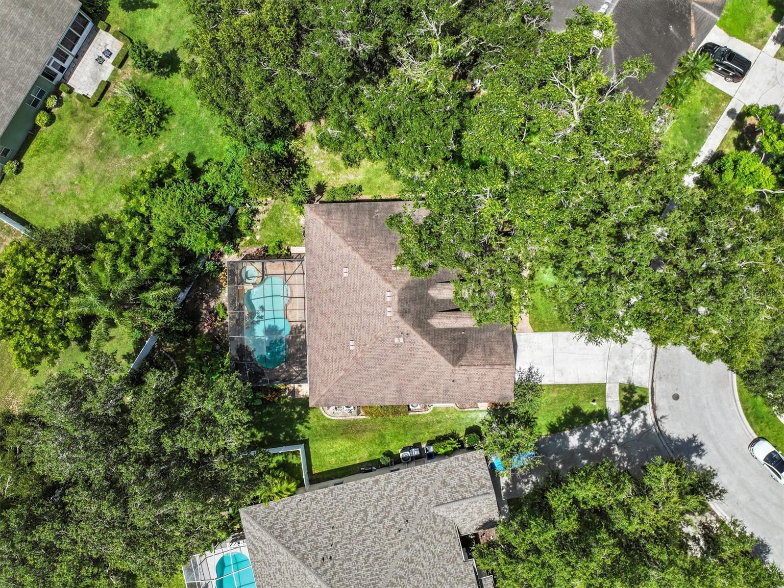 AERIAL