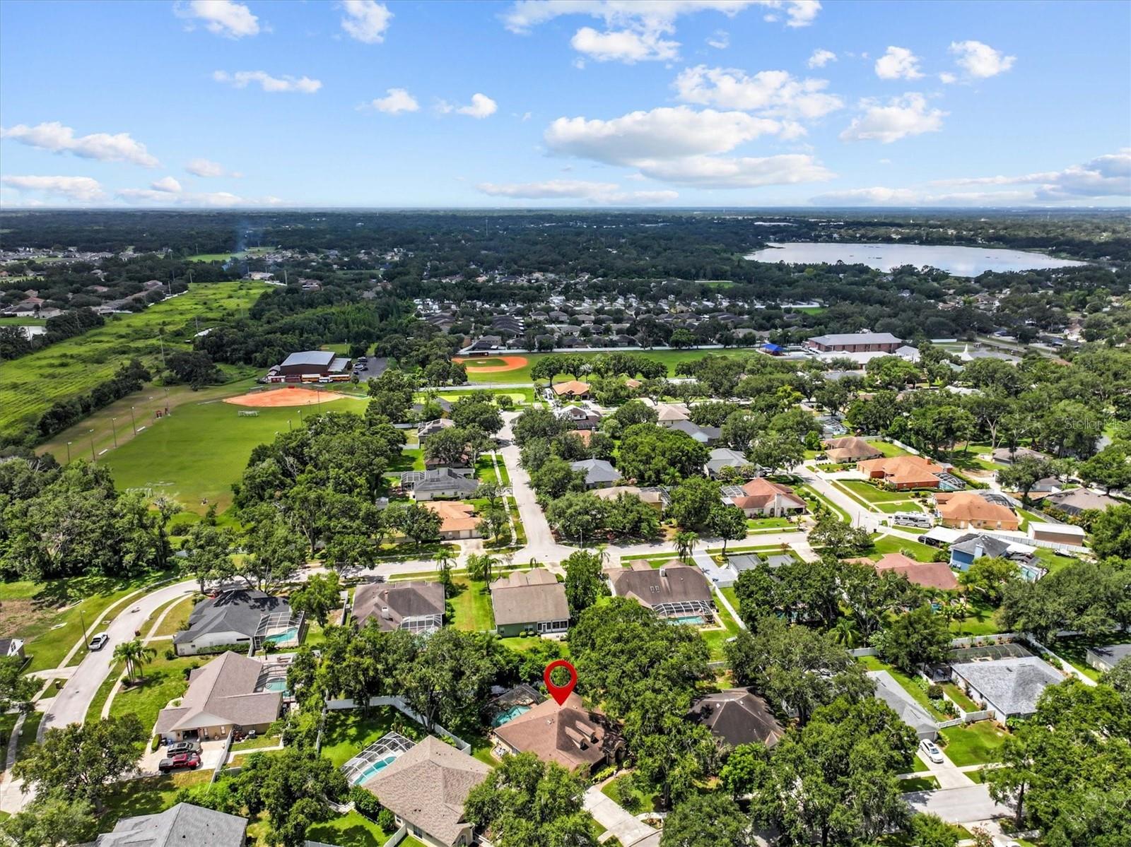 AERIAL