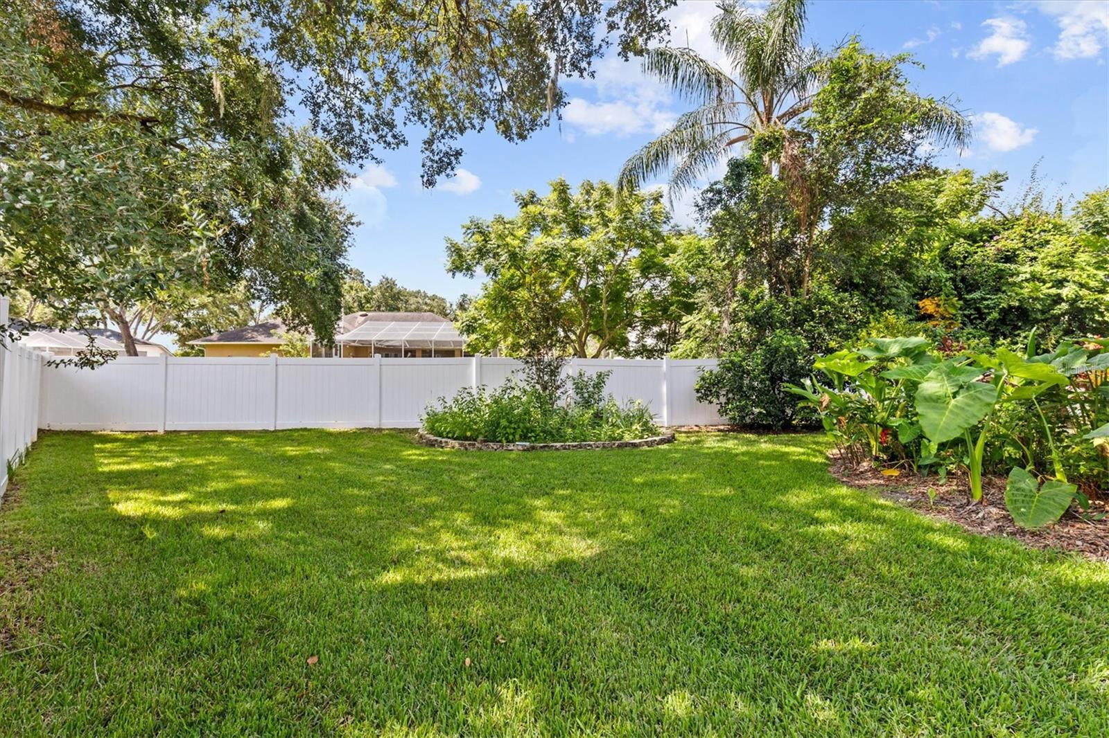 BACK YARD