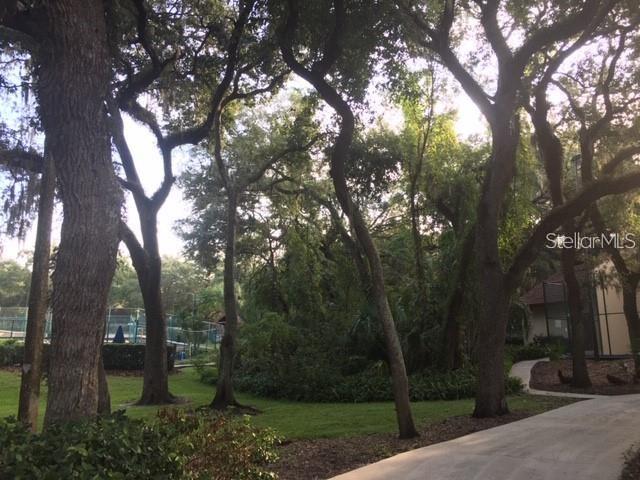 Beautiful lush landscaping with mature trees