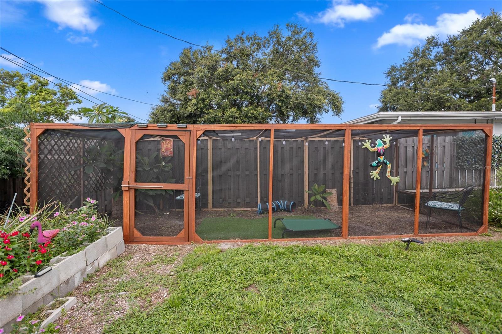Cats outdoor condo