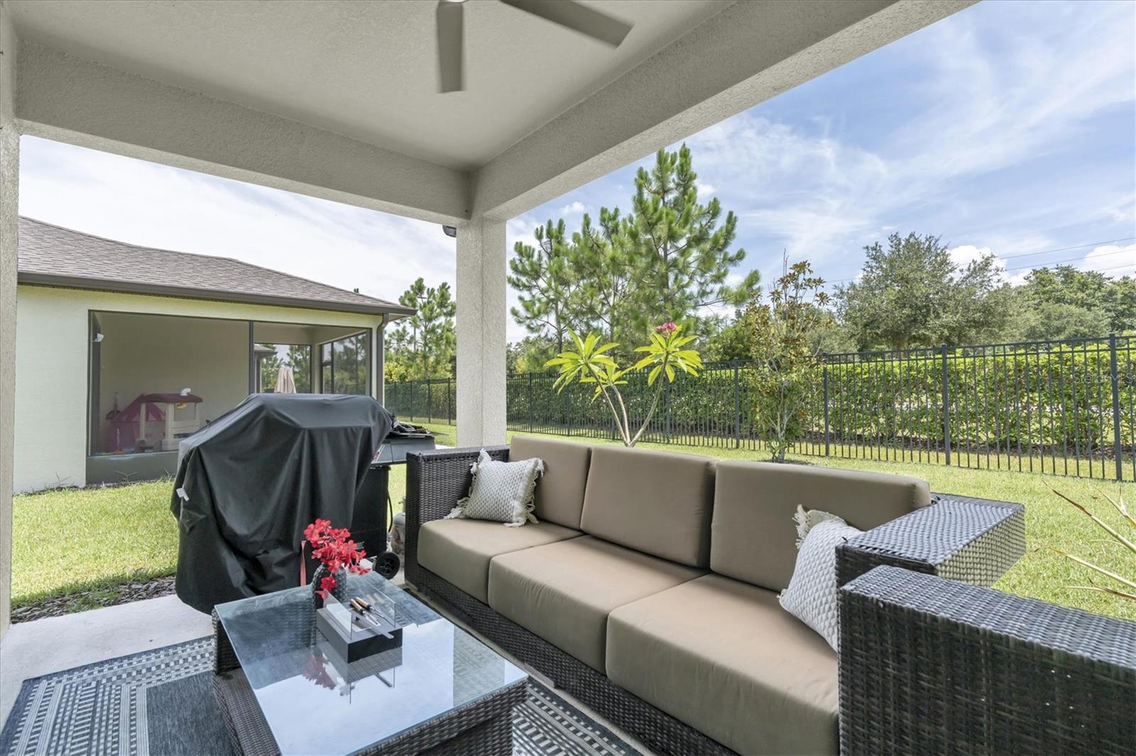 Exterior Patio Back