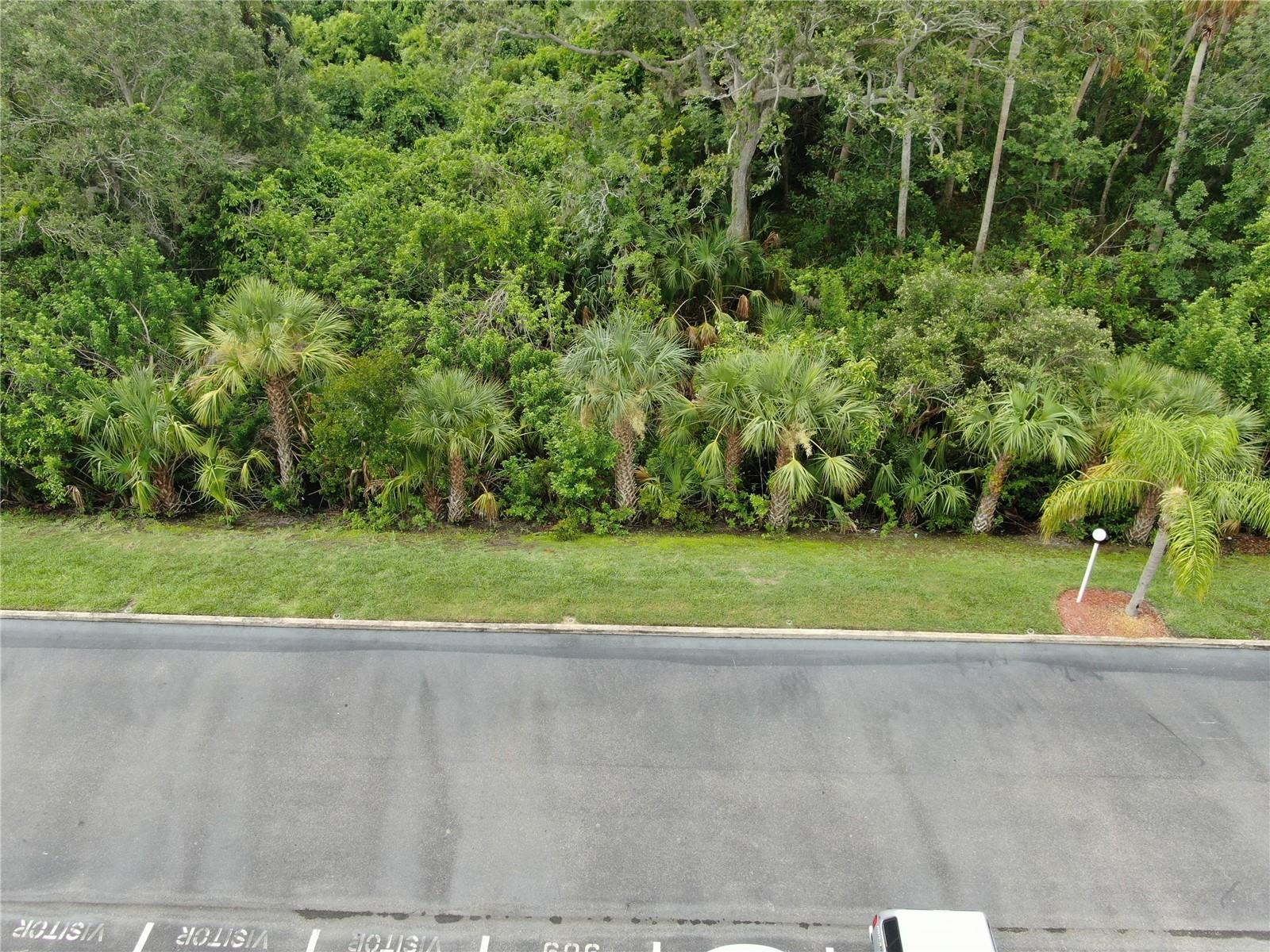 Nature view from unit