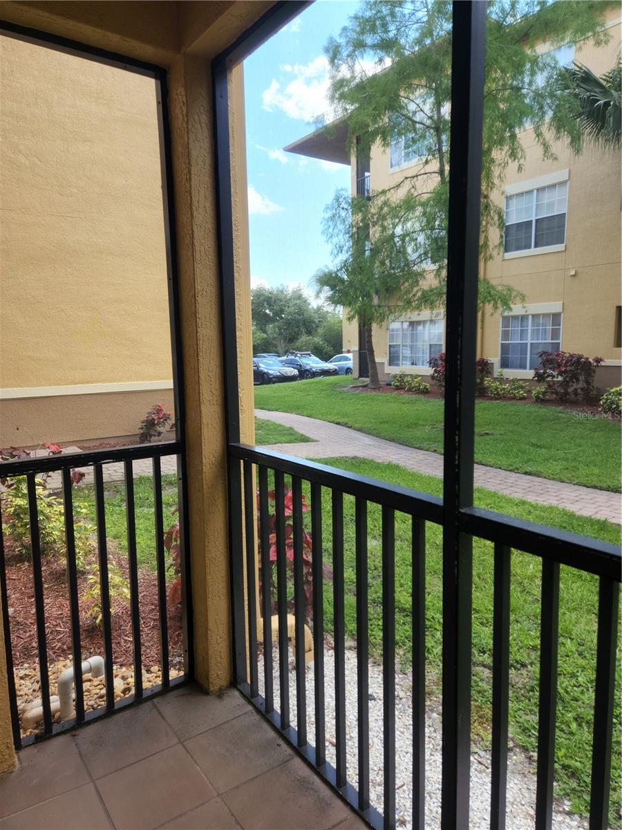 Patio View