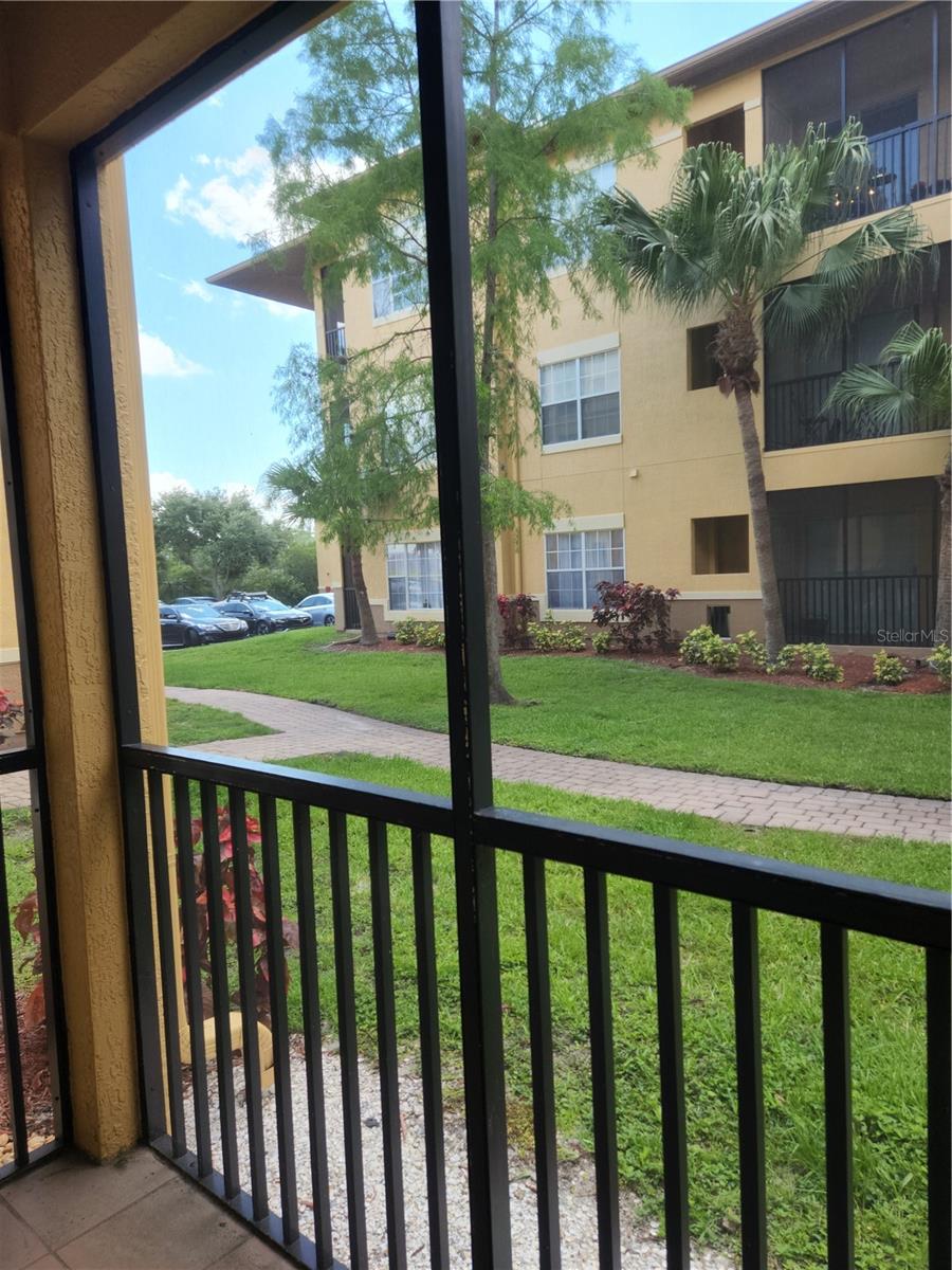 Patio View