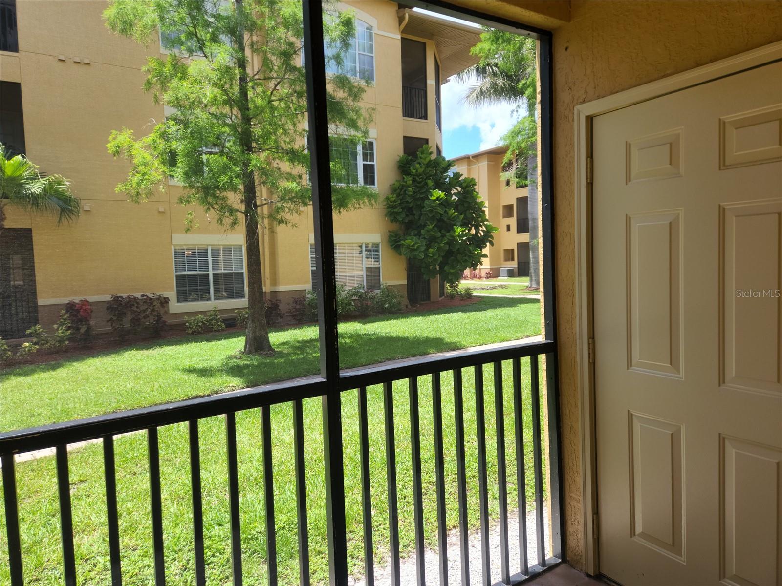 Patio View