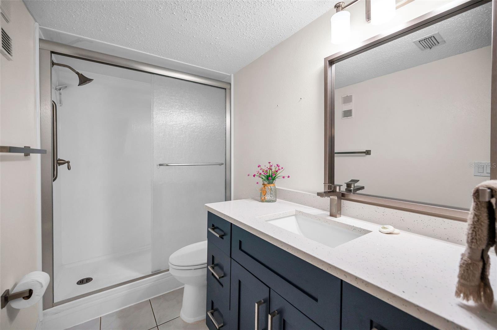 RENOVATED BATH WITH NEW CABINET AND QUARTZ COUNTERTOPS, NEWER WALK IN SHOWER AND TOILET, MIRROR AND LIGHTING