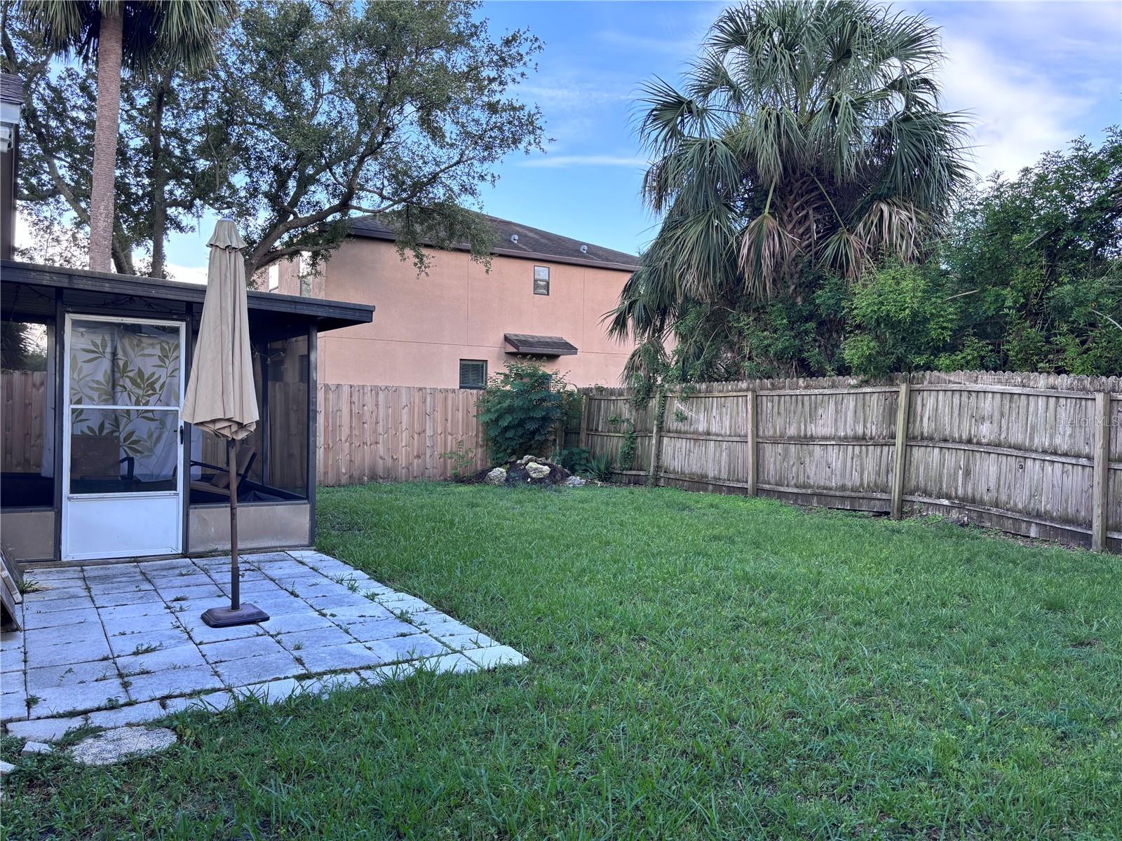 Backyard