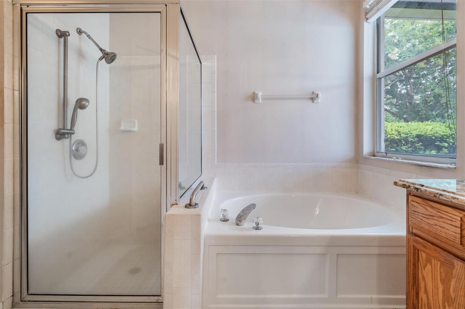 Master bathroom with soaking tub and step in shower