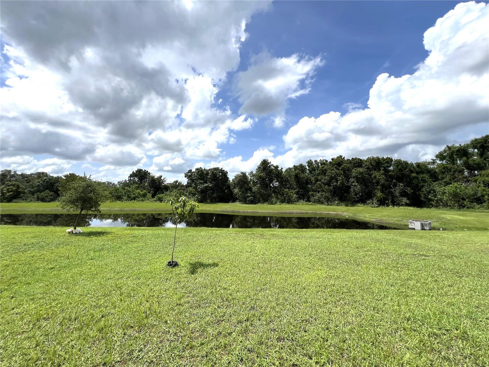 Backyard View