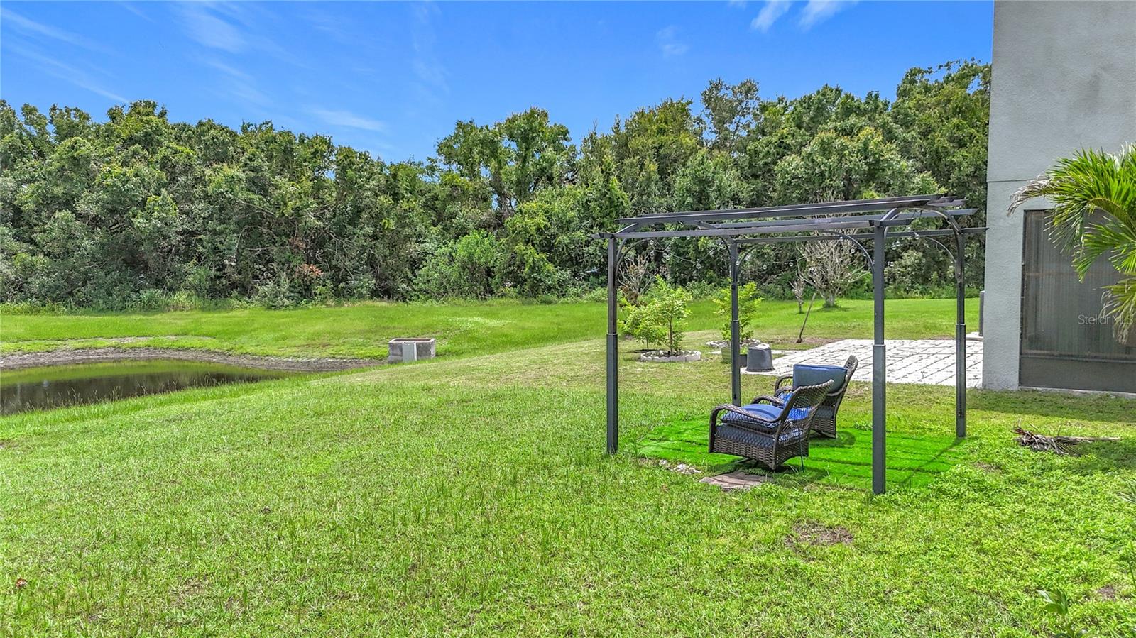 Backyard View
