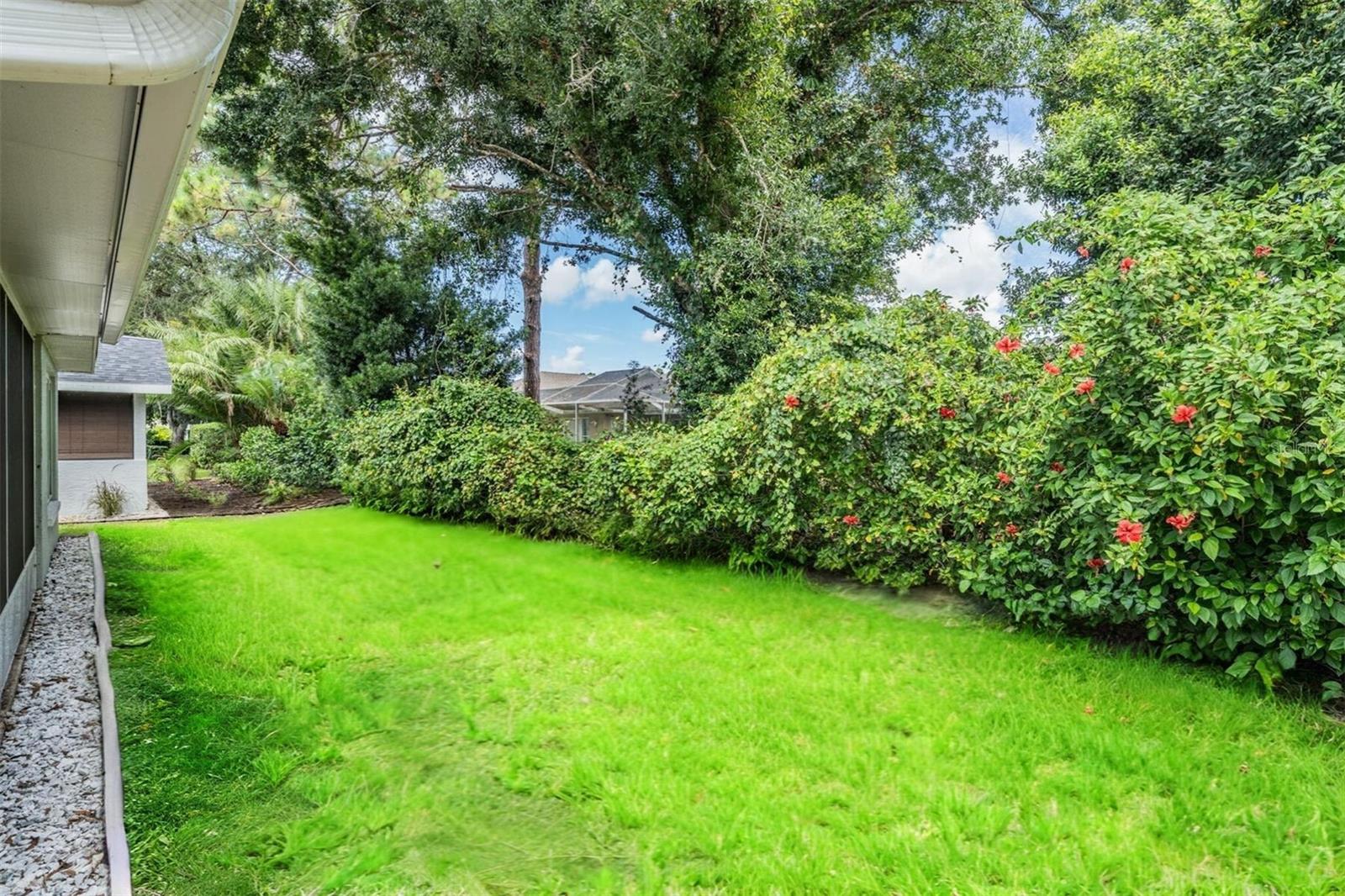 A green area just outside your lanai