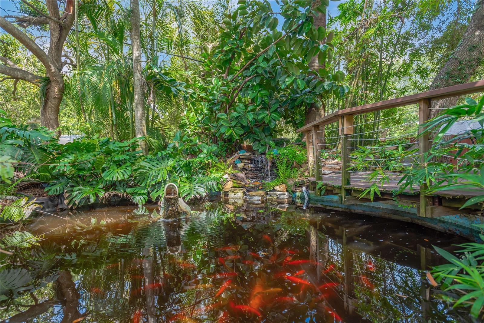 Your Beautiful Pond With Waterfall, Fountain & Dozens of Koi!