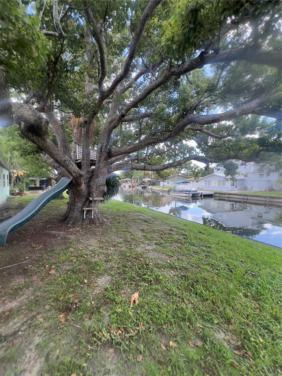 Tree slide next to the canal on right side of home. Verify safety before using.