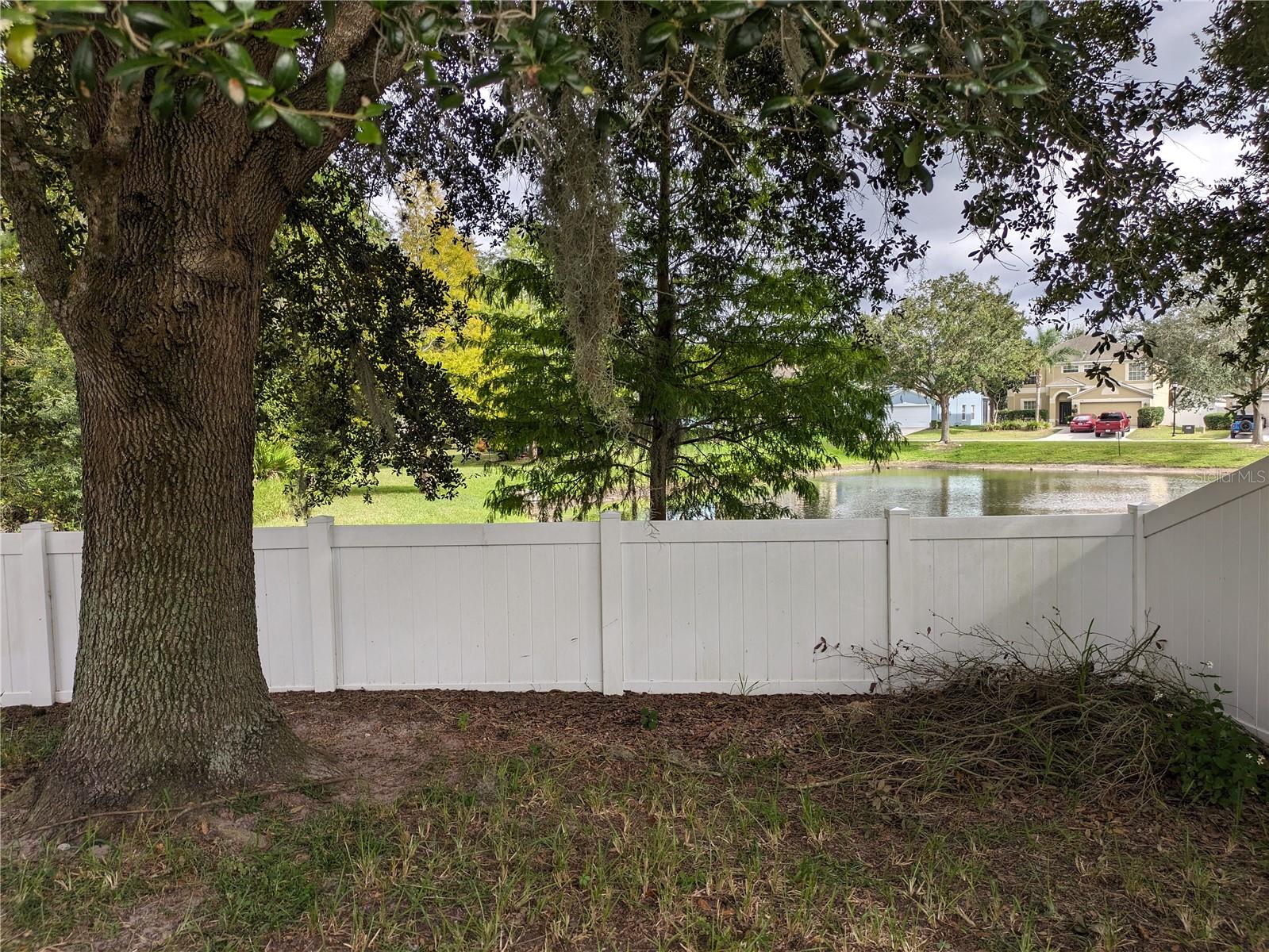 Back Yard: Pond View
