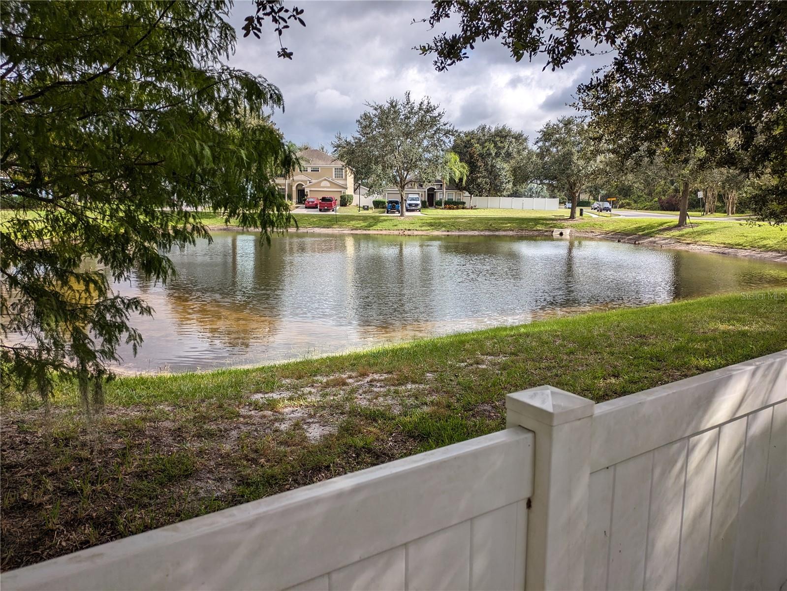 Back Yard: Pond View