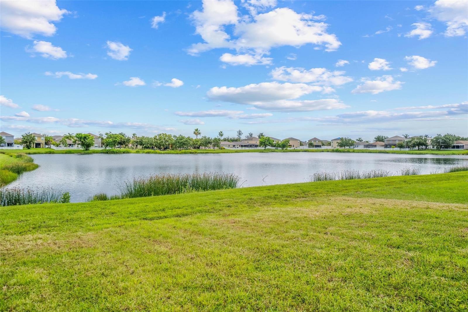 Backyard Lake Views