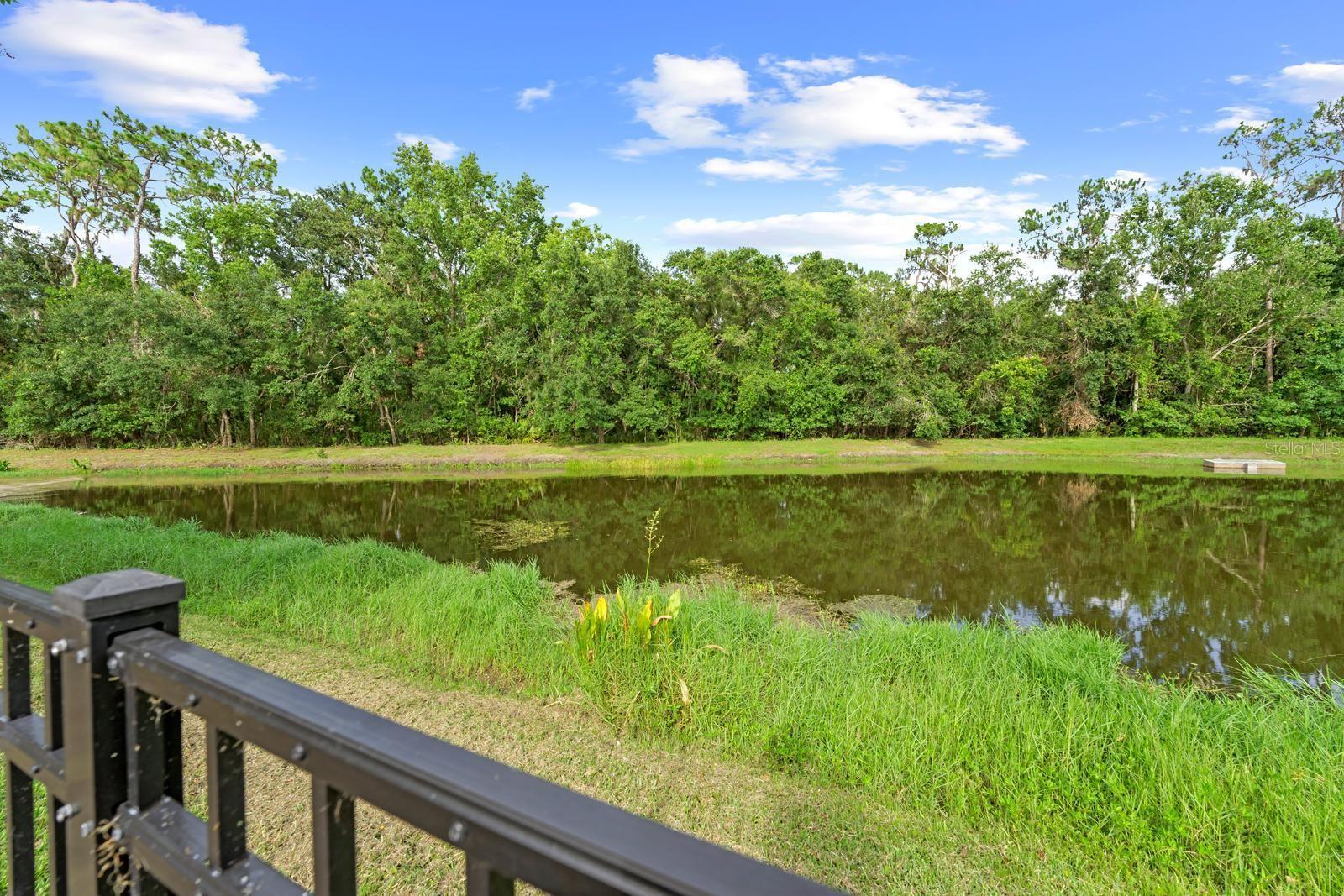 Beautiful Pond & Nature Preserve View