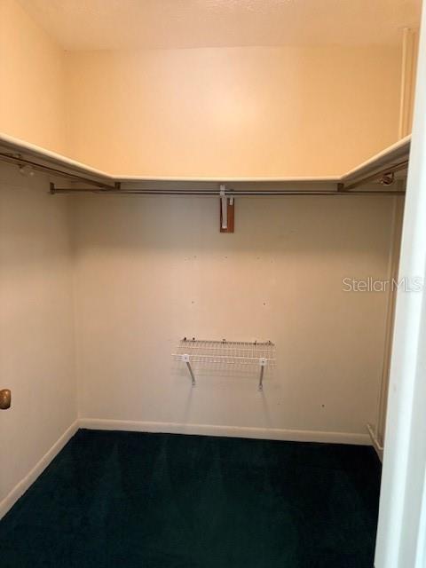 principal walk in closet