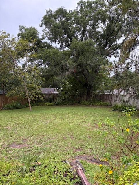 back yard