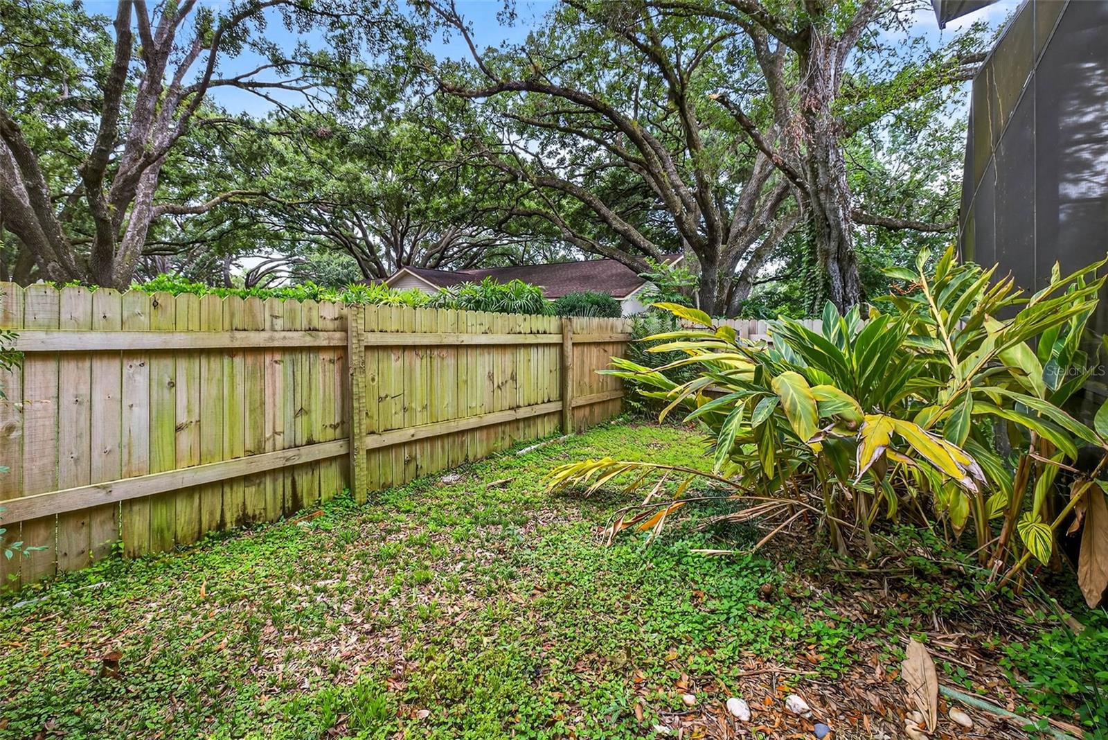 back yard