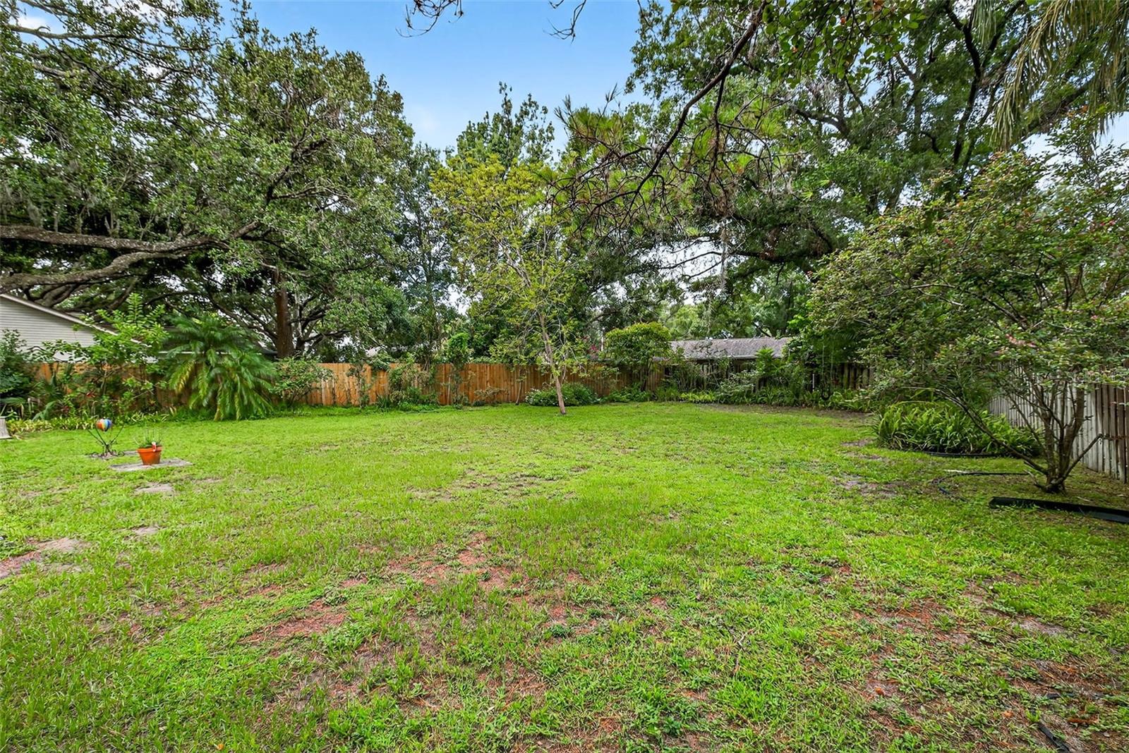deep back yard