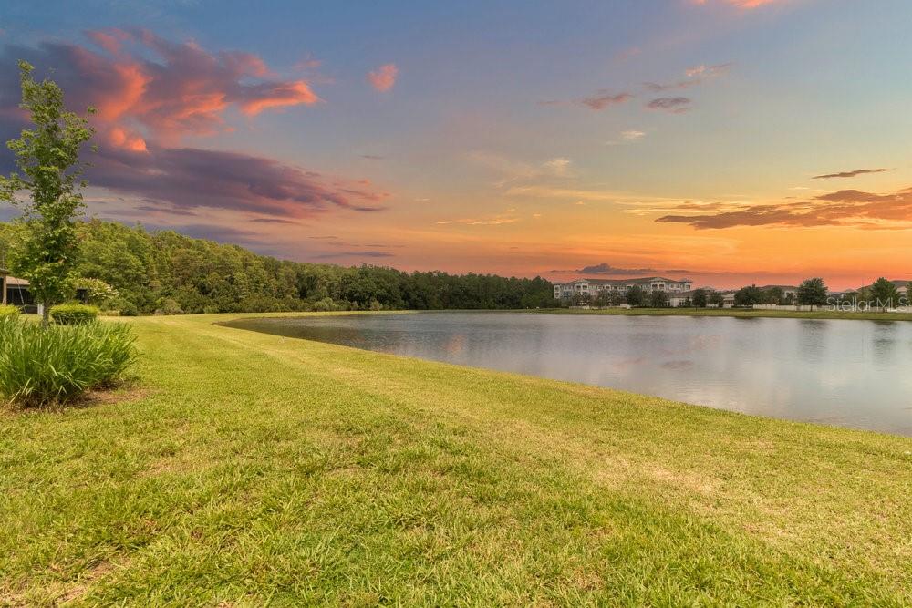 View of Pond