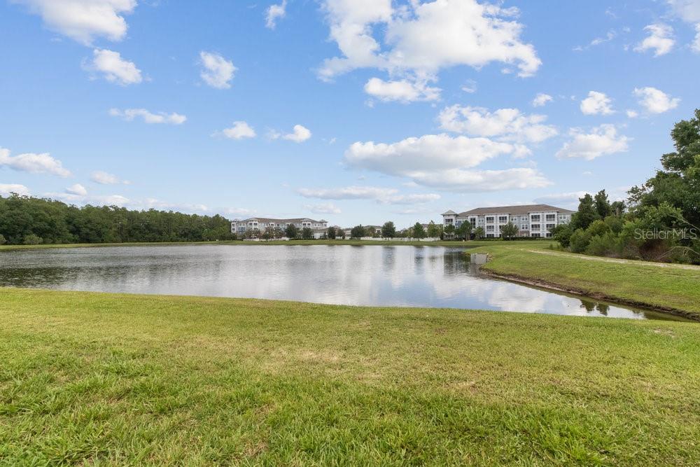 View of Pond