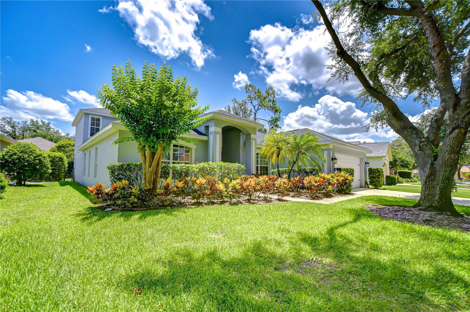 Tropical landscaping!