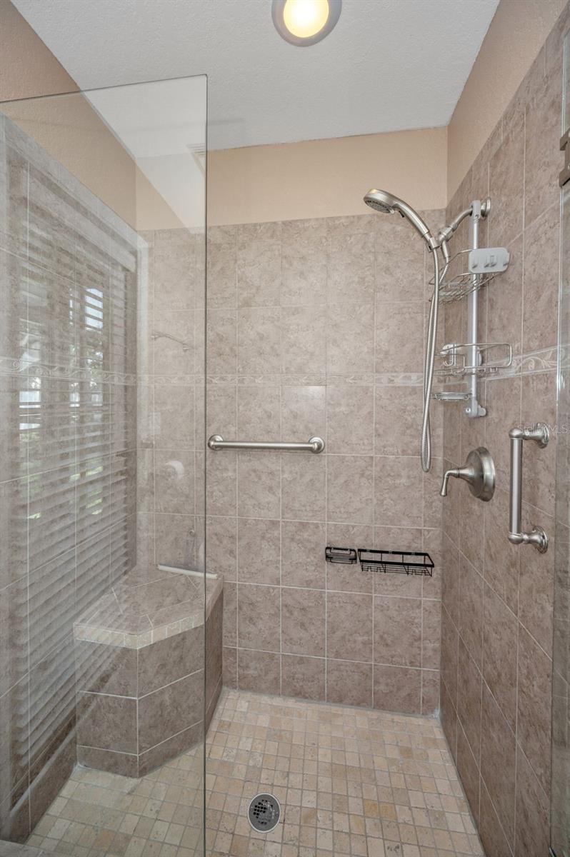 Primary Shower