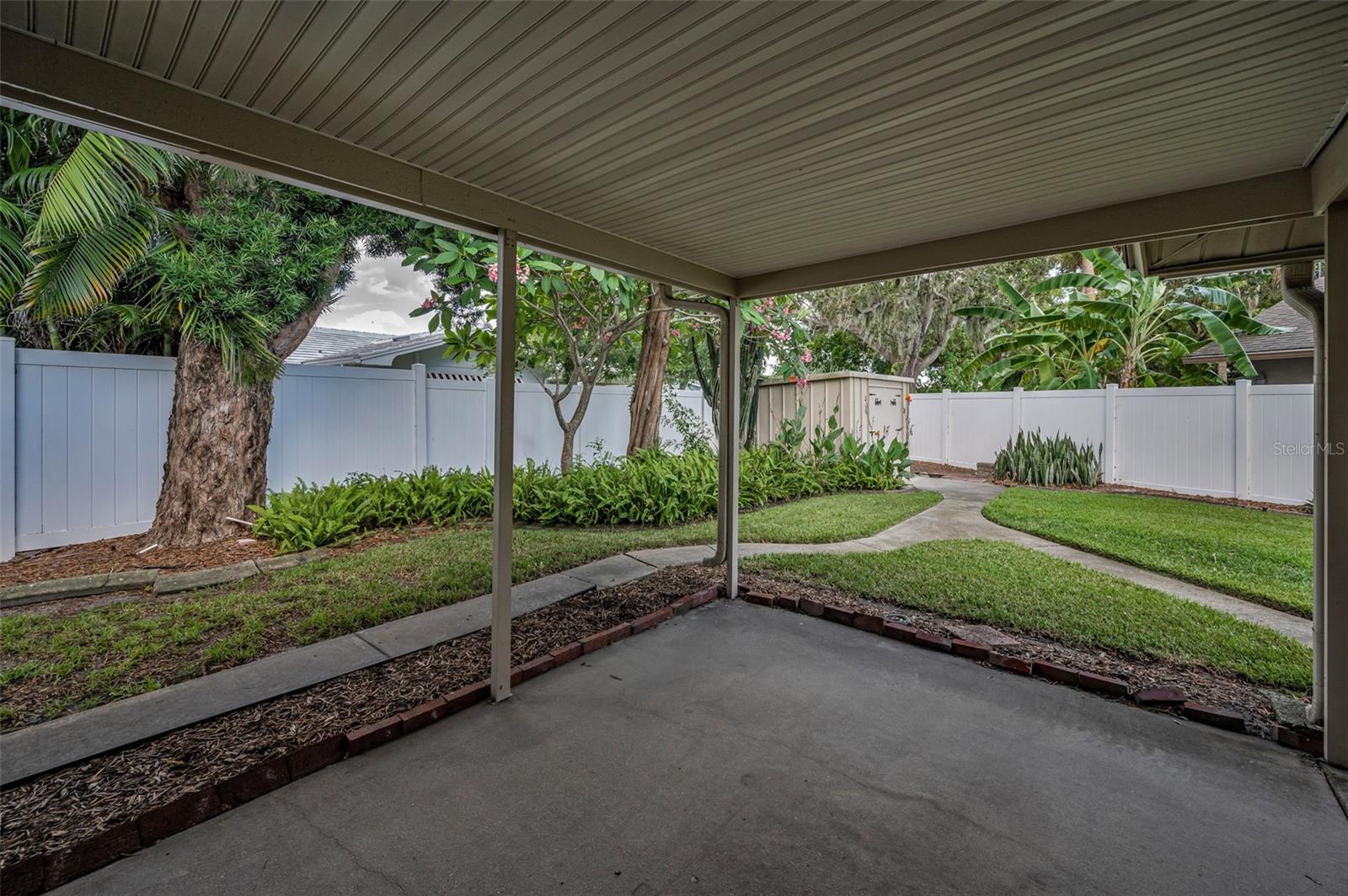 Backyard