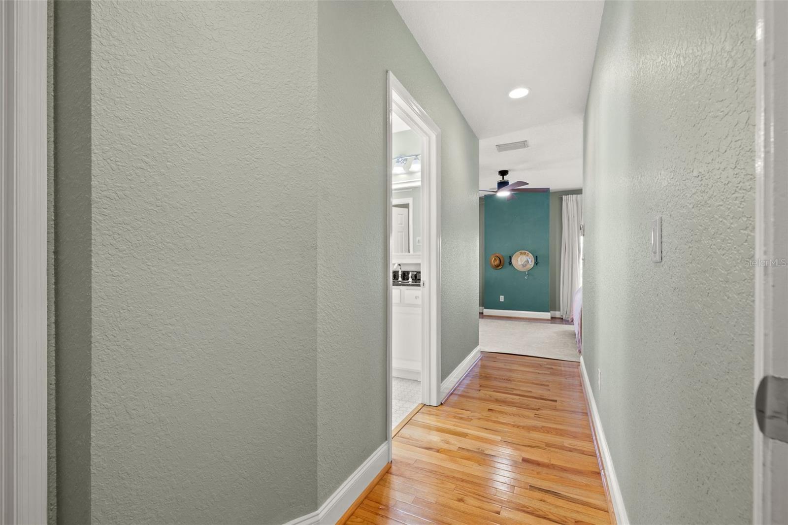 Primary Bedroom Entry Hall