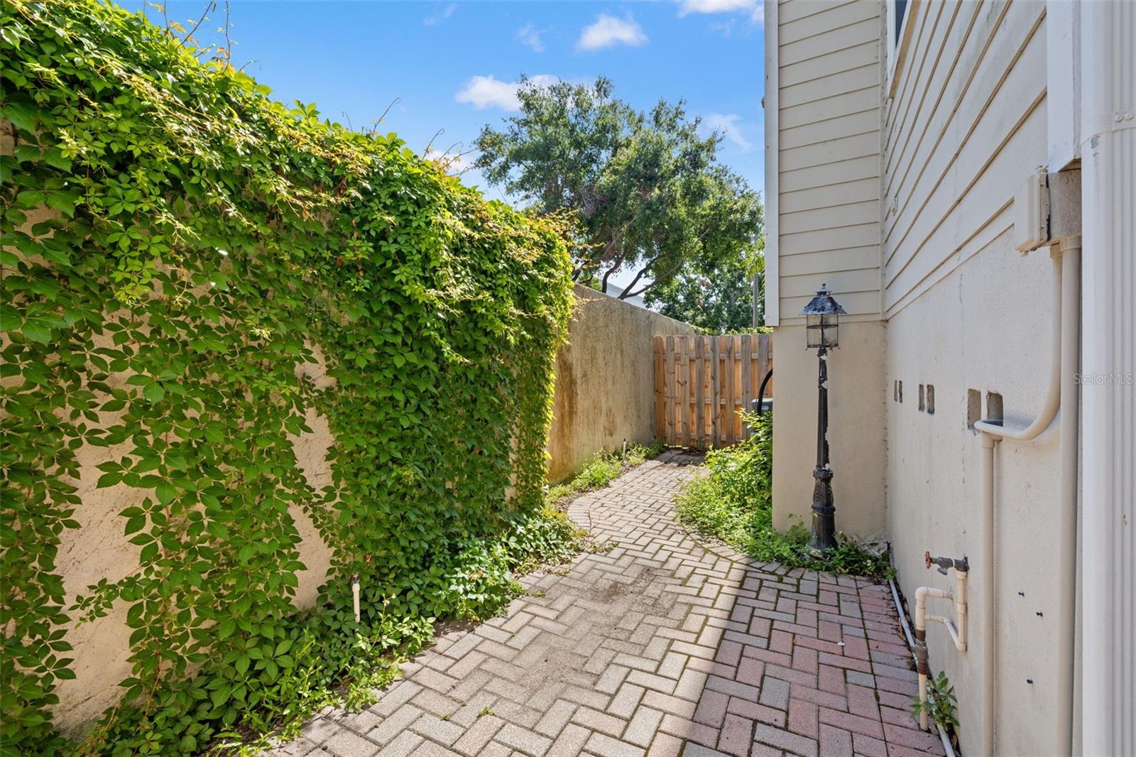 Back Patio