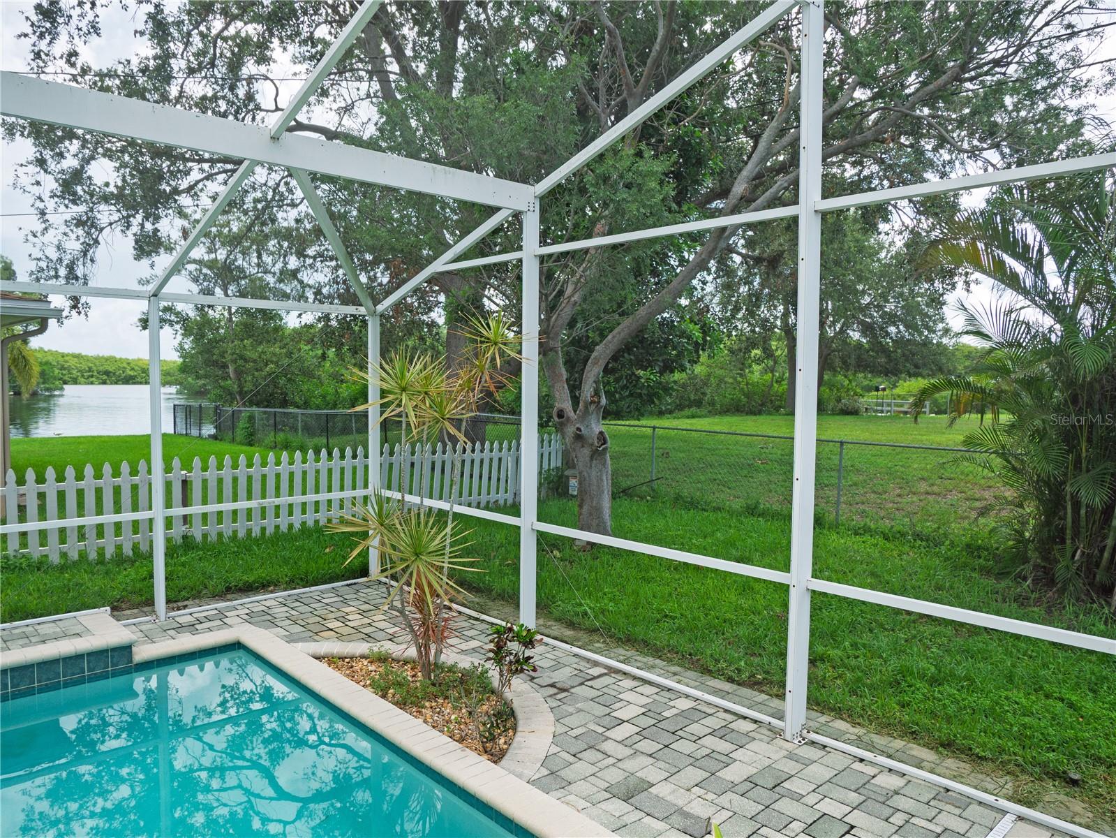 Pool Water View