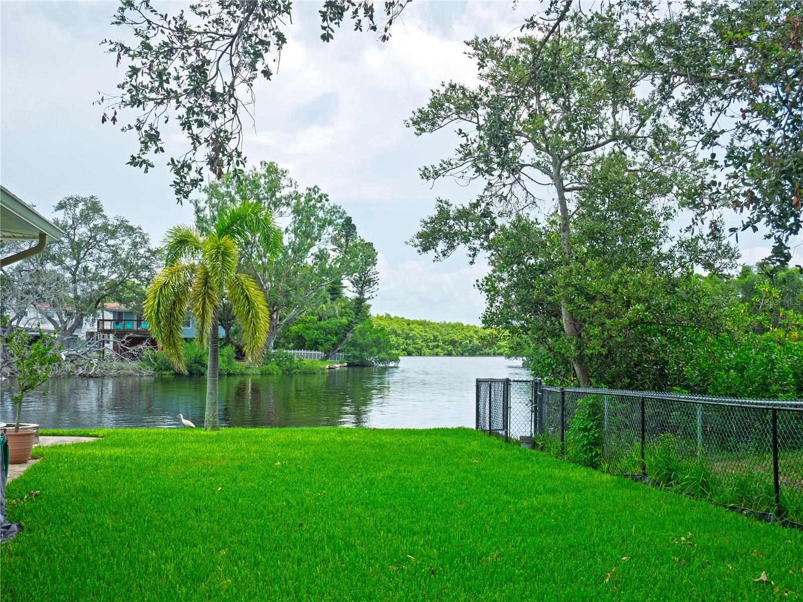 Water View from Backyard