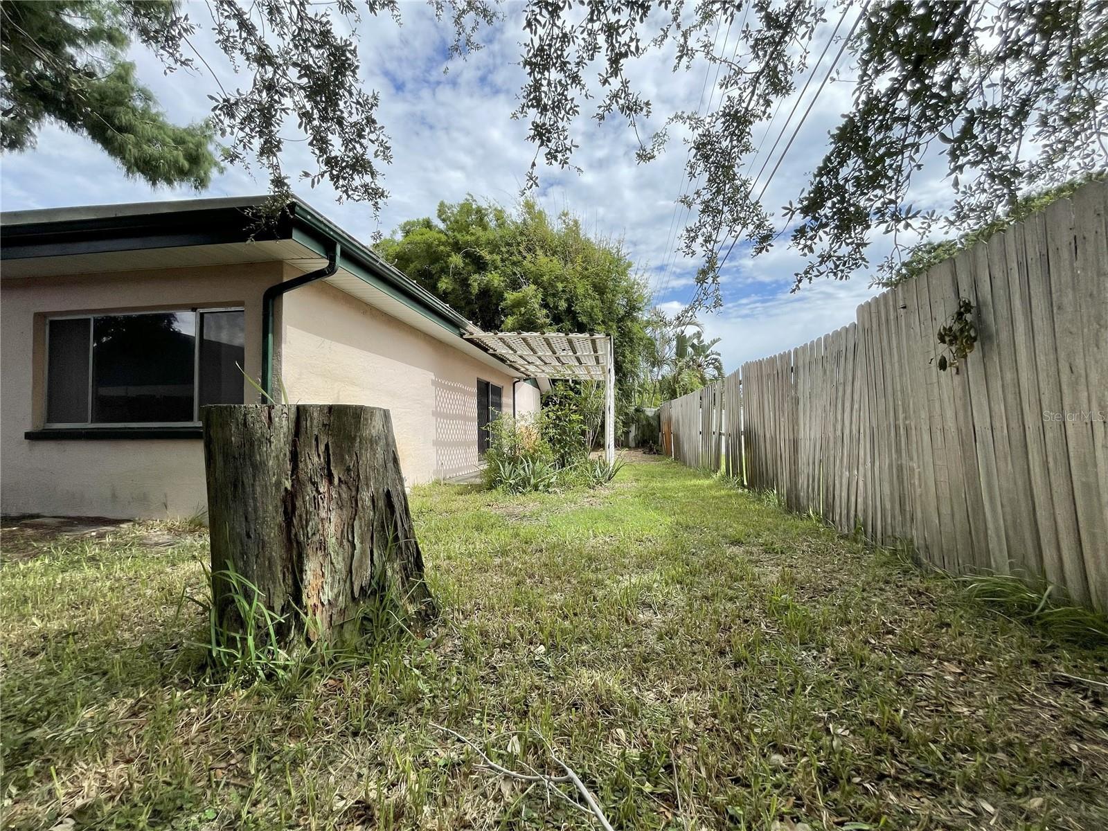 Back yard