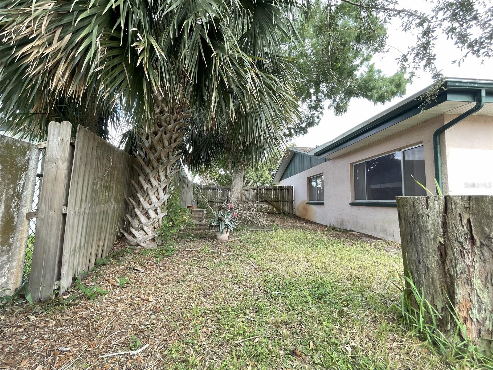Side yard