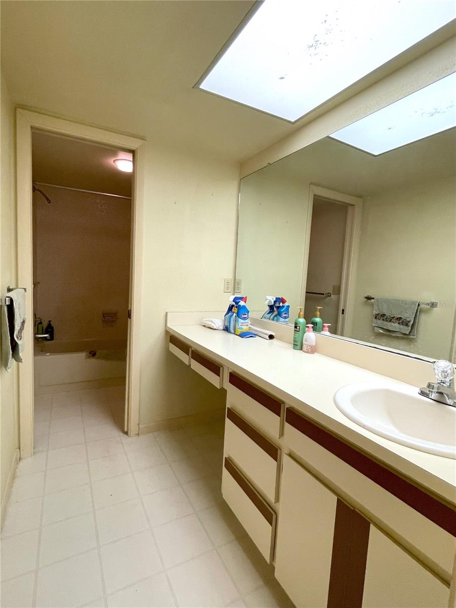 Master bathroom - vanity & sink, and walk-in closet.