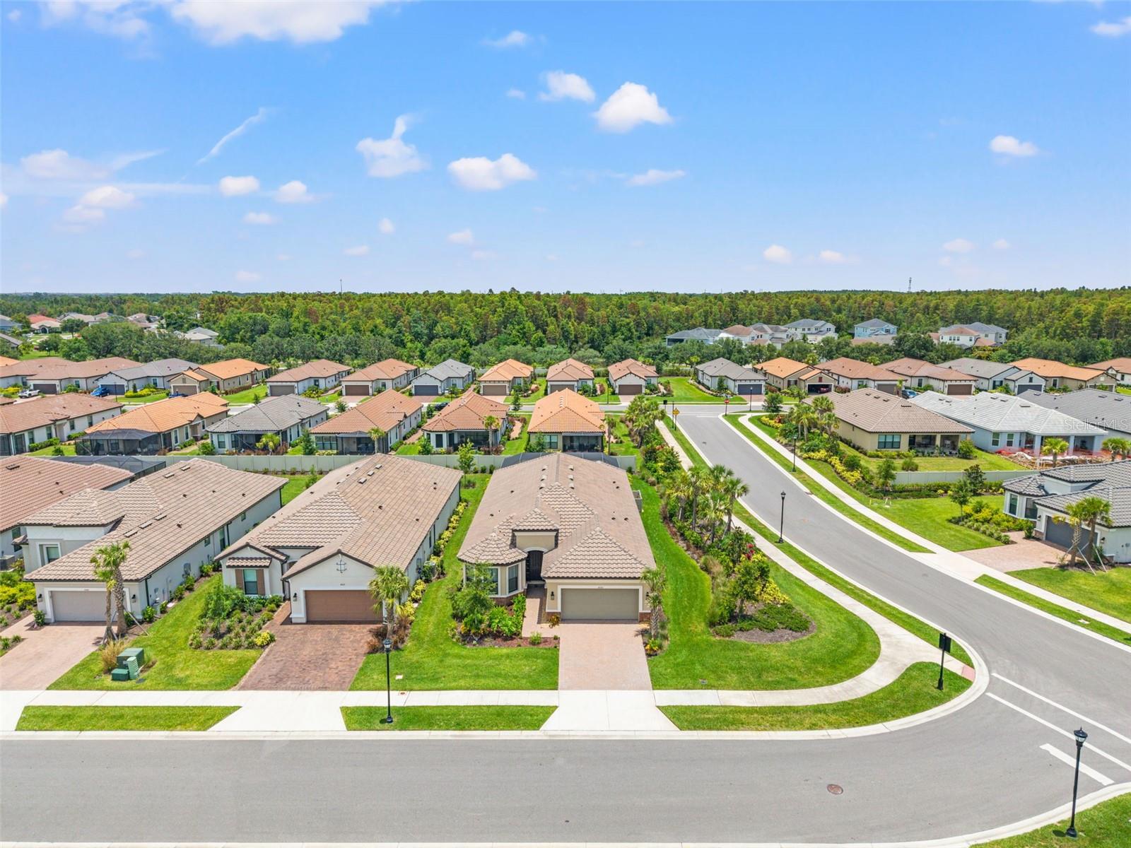 Large Corner Lot
