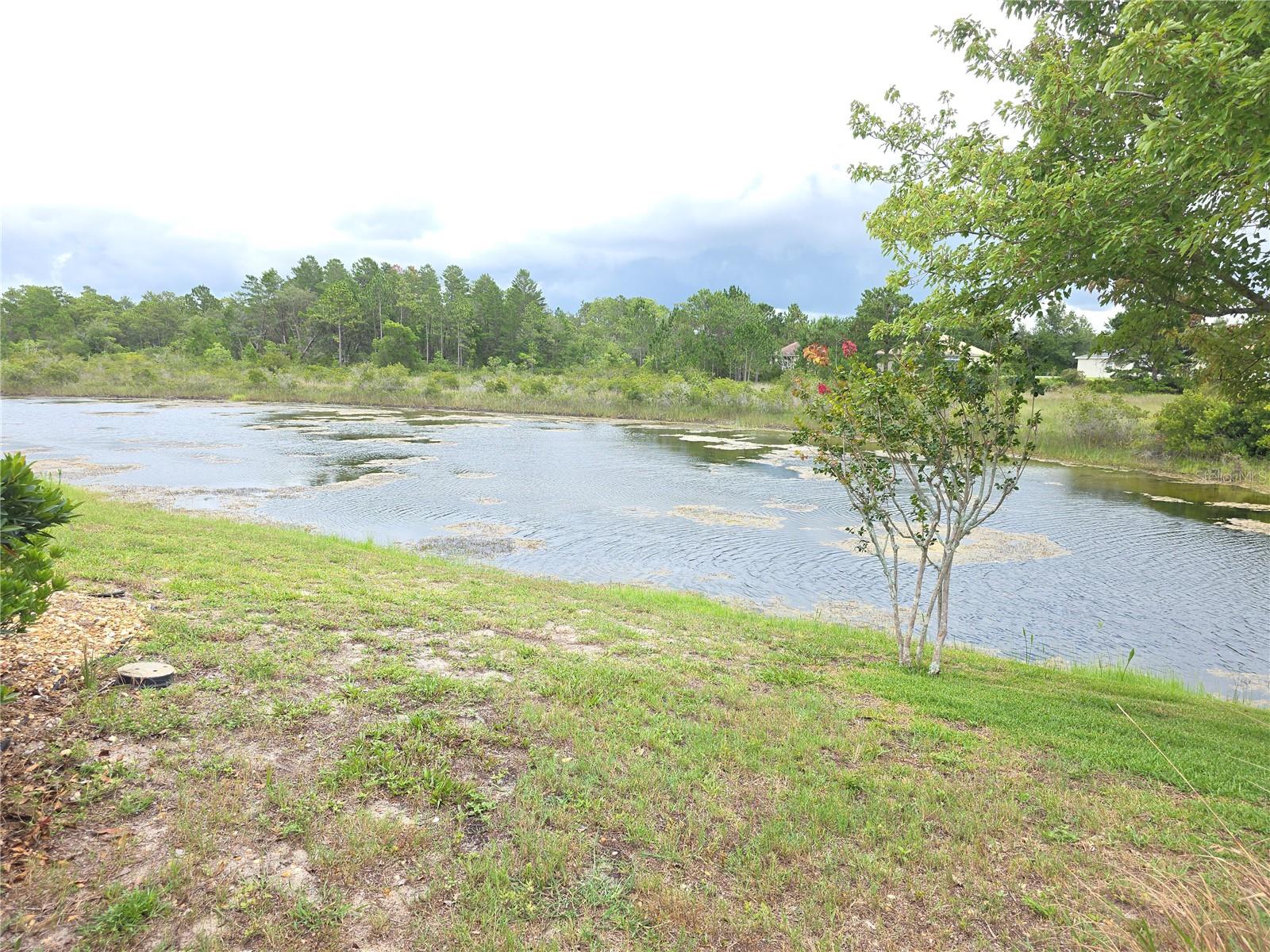 W7876948