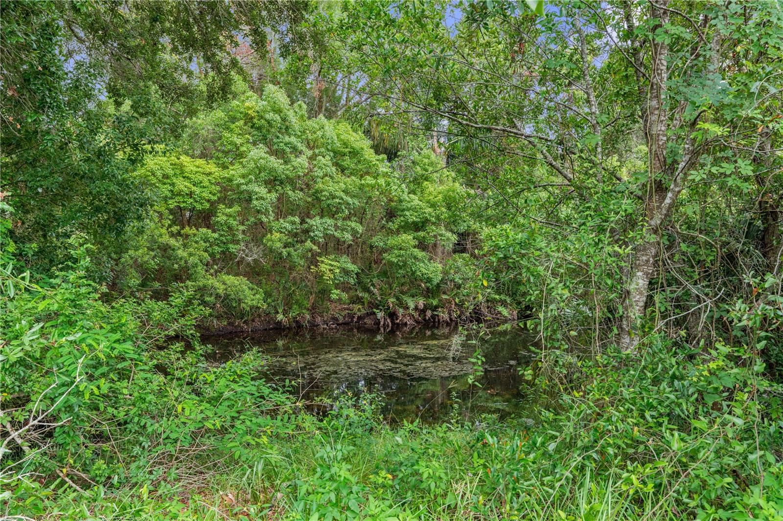 W7876950
