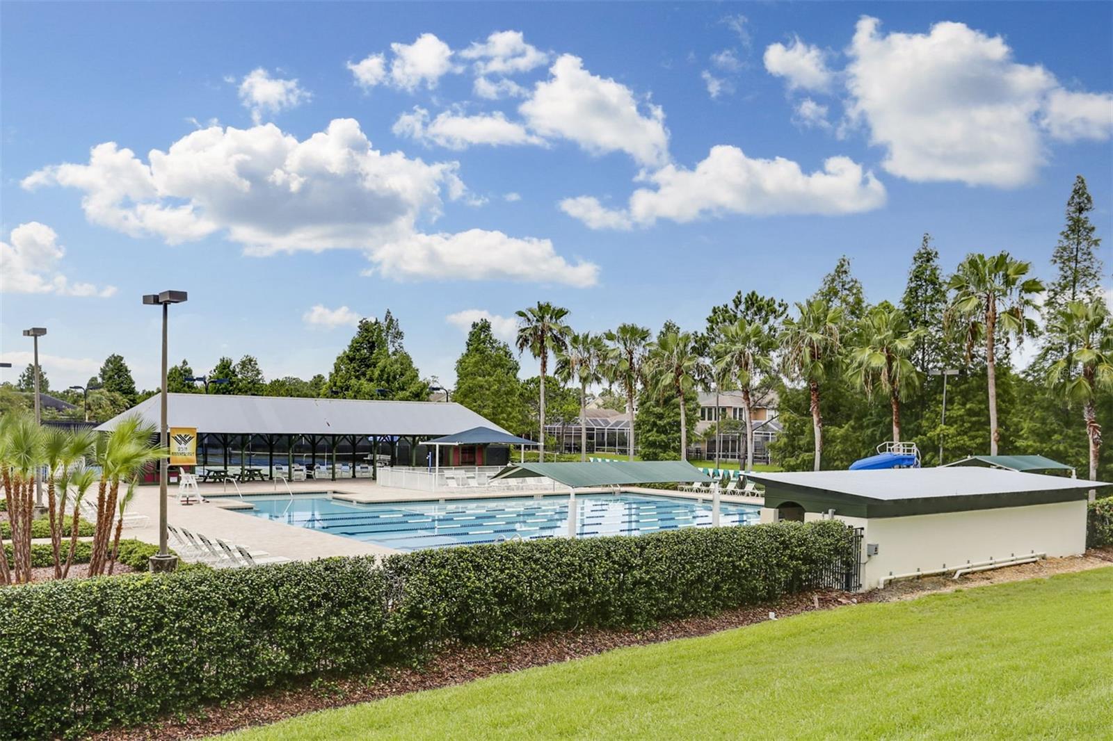 Olympic-sized pools (2)